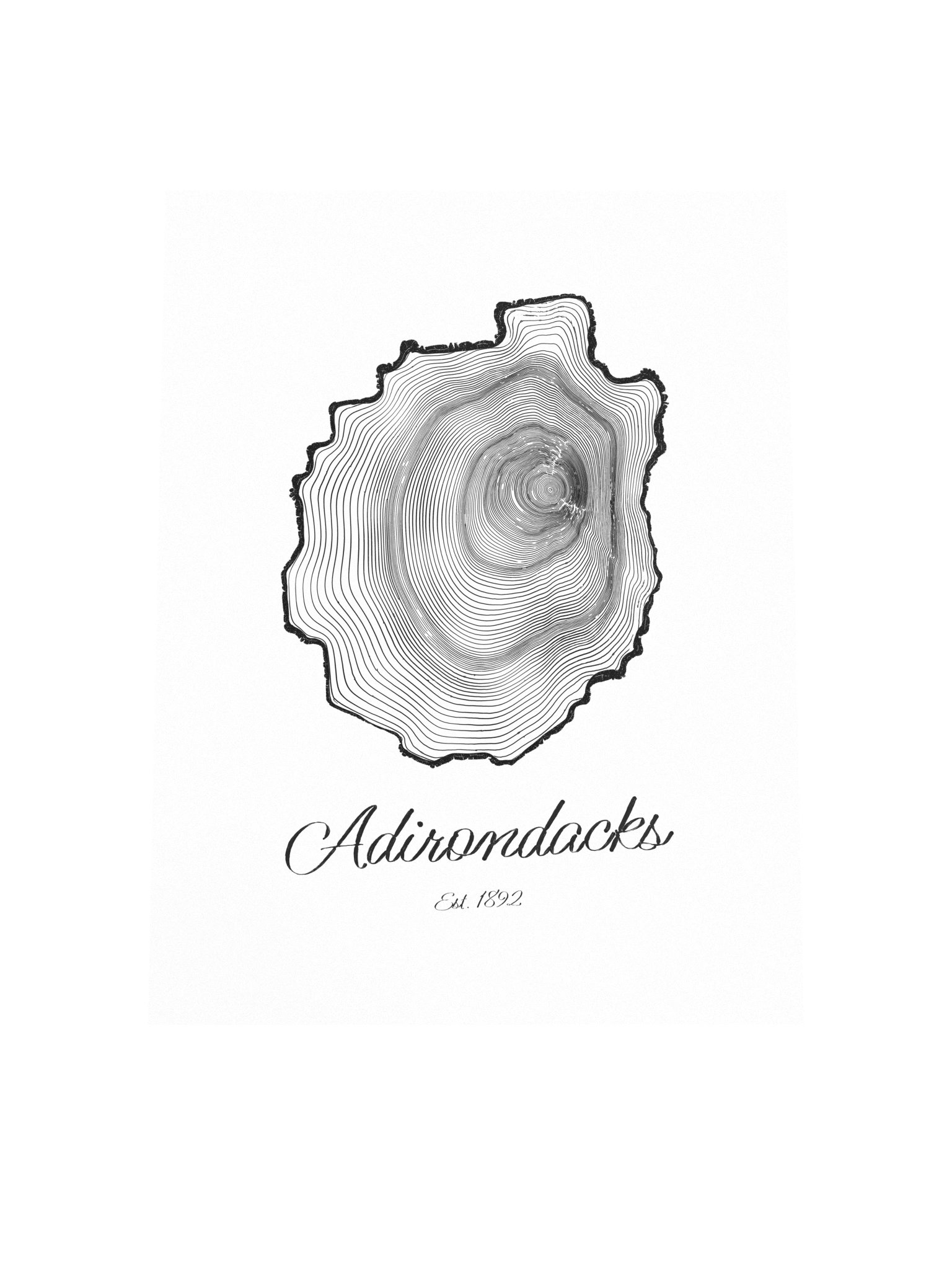 Adirondack Park Tree Ring Poster product image (4)