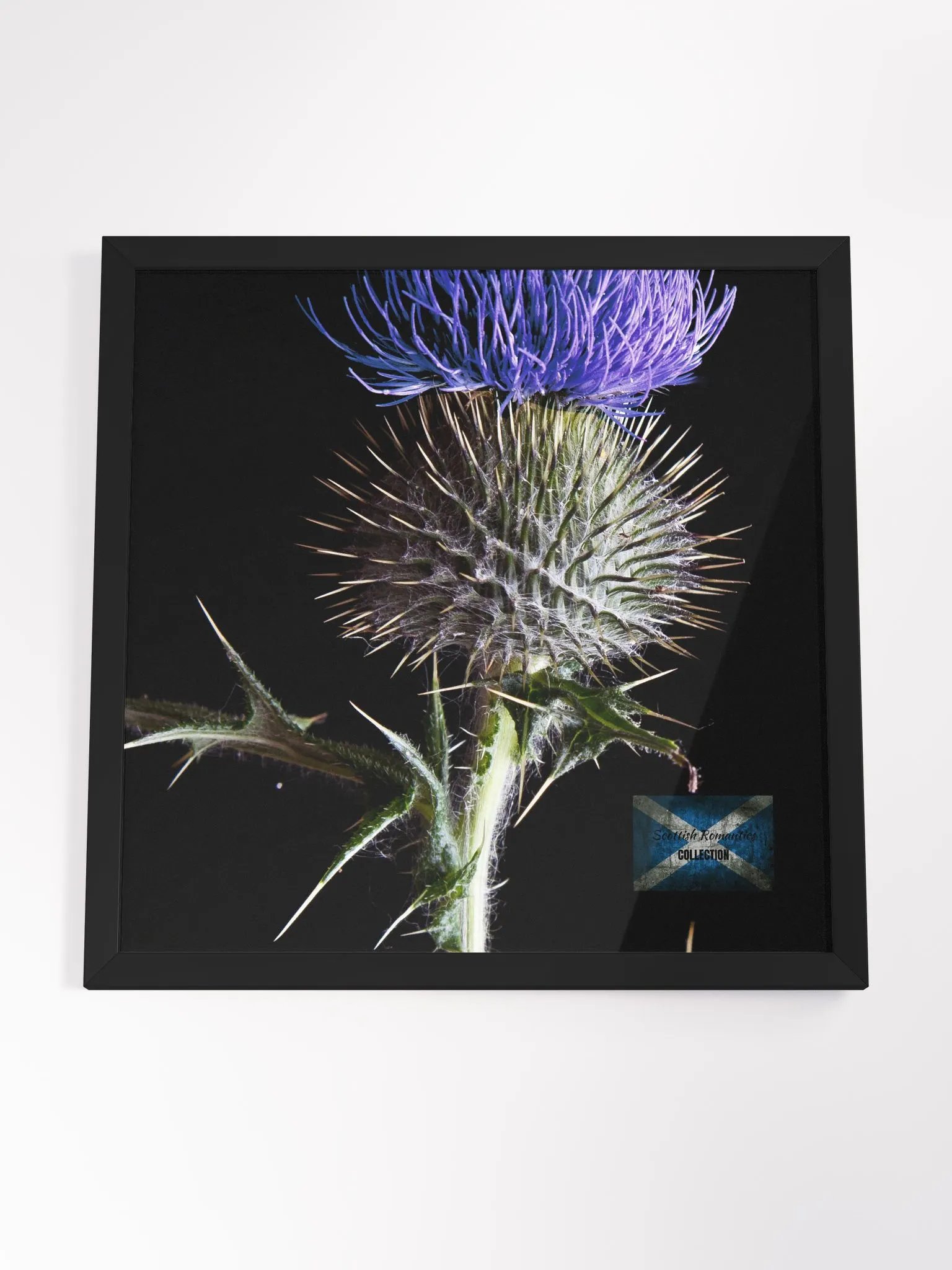 Scottish Romantics Collection product image (4)