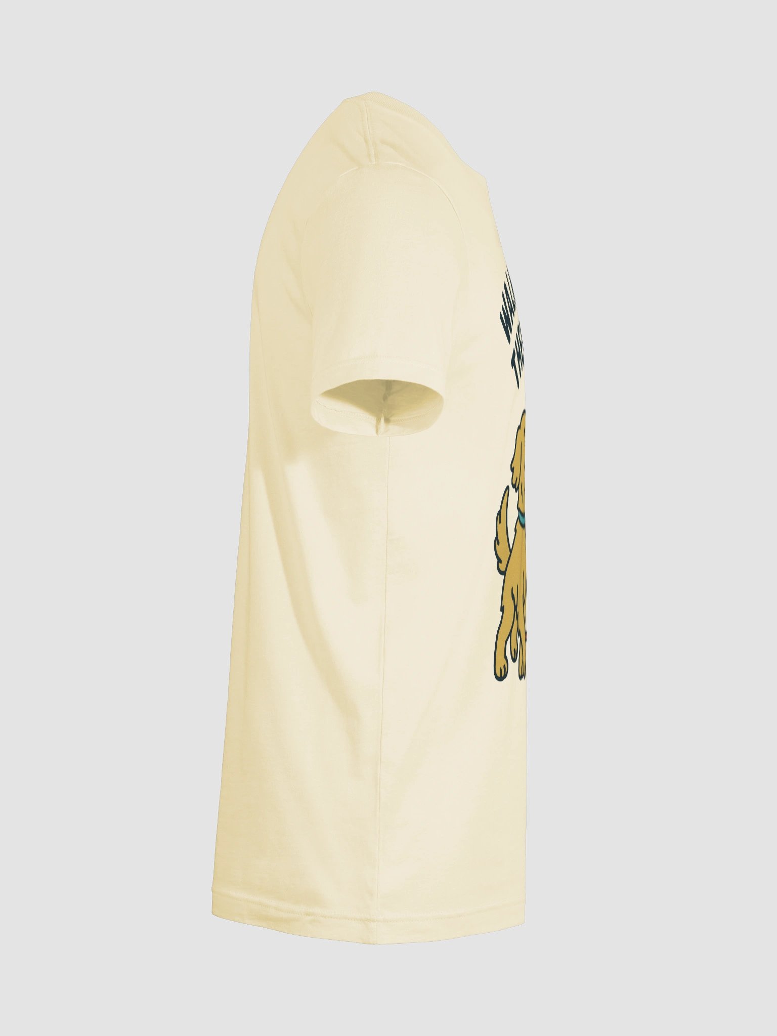 Therapist's Walk T-Shirt product image (12)