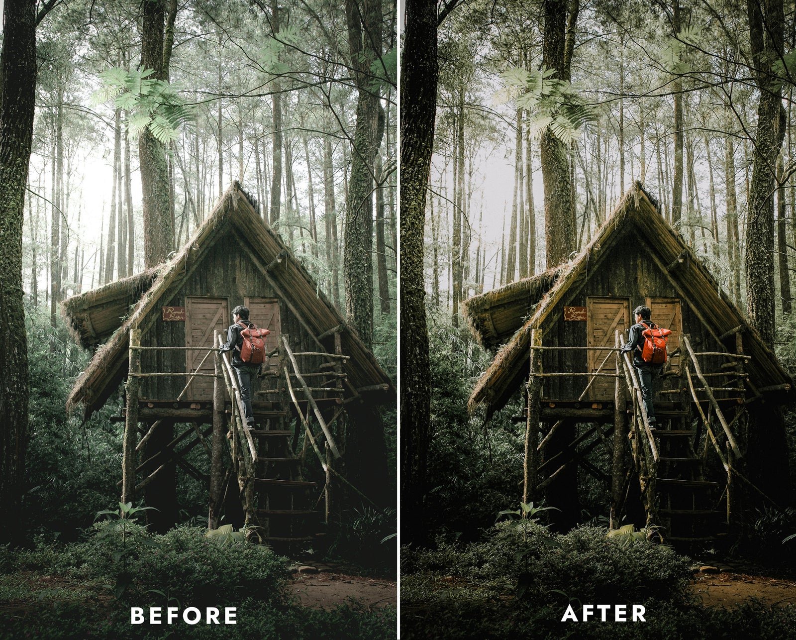 jungle style product image (5)