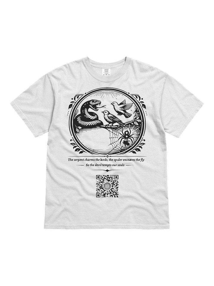 Charms and Snares product image (1)