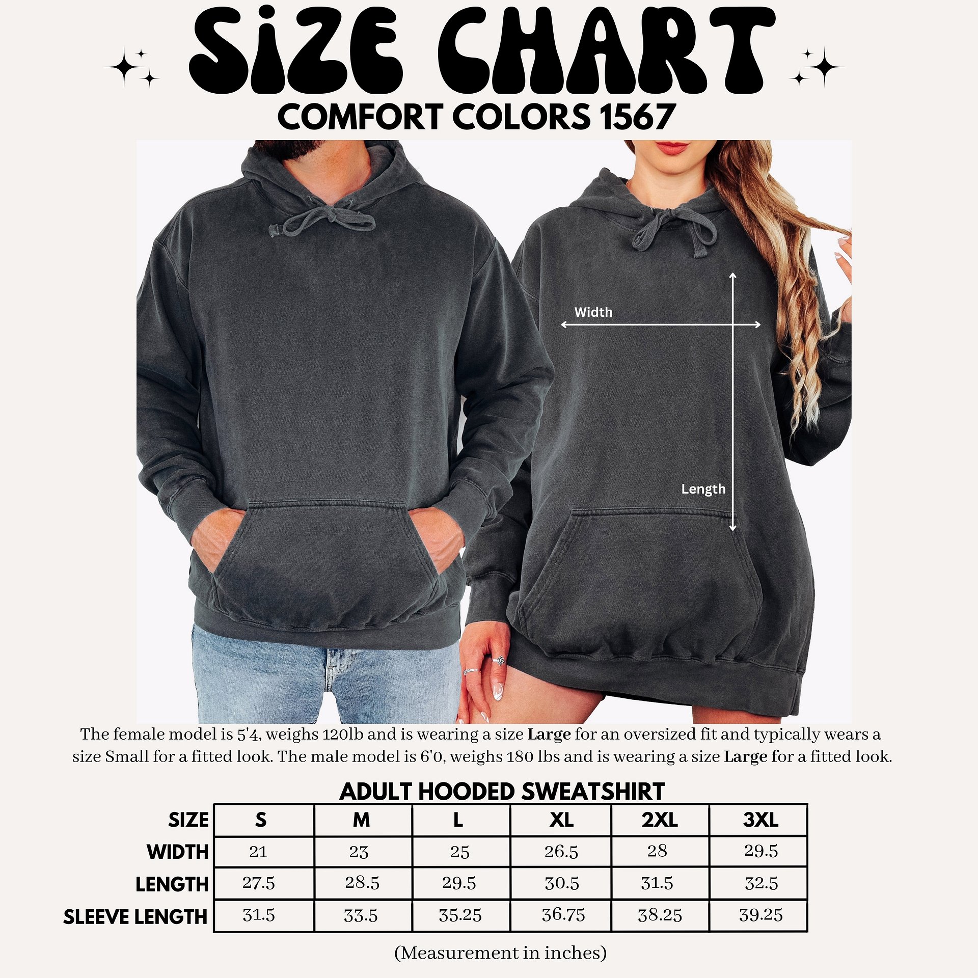 A School of Blue Chromis Embroidered Premium Hoodie | Saltwater Reef Aquarium Fish & Marine Life Apparel product image (3)