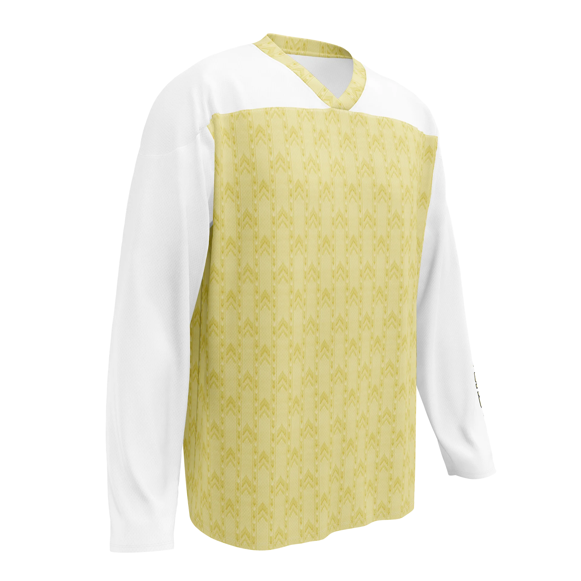 ATRD - In The Back Rooms Hockey Jersey product image (1)