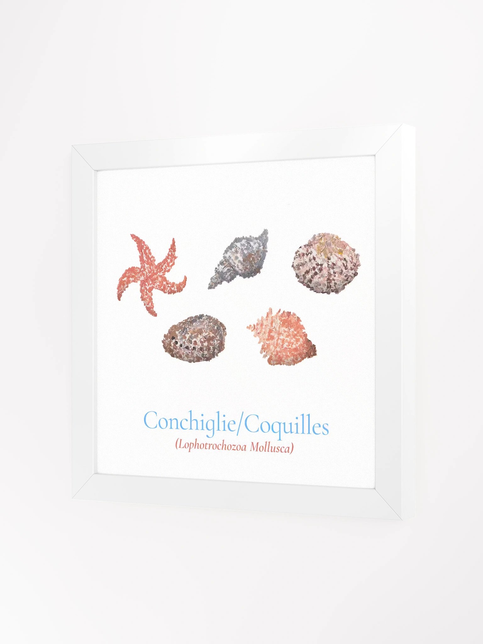 Conchiglie Botanicus Frame product image (4)