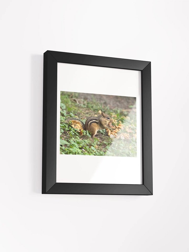 Chipmunk Delight Matte Poster product image (12)