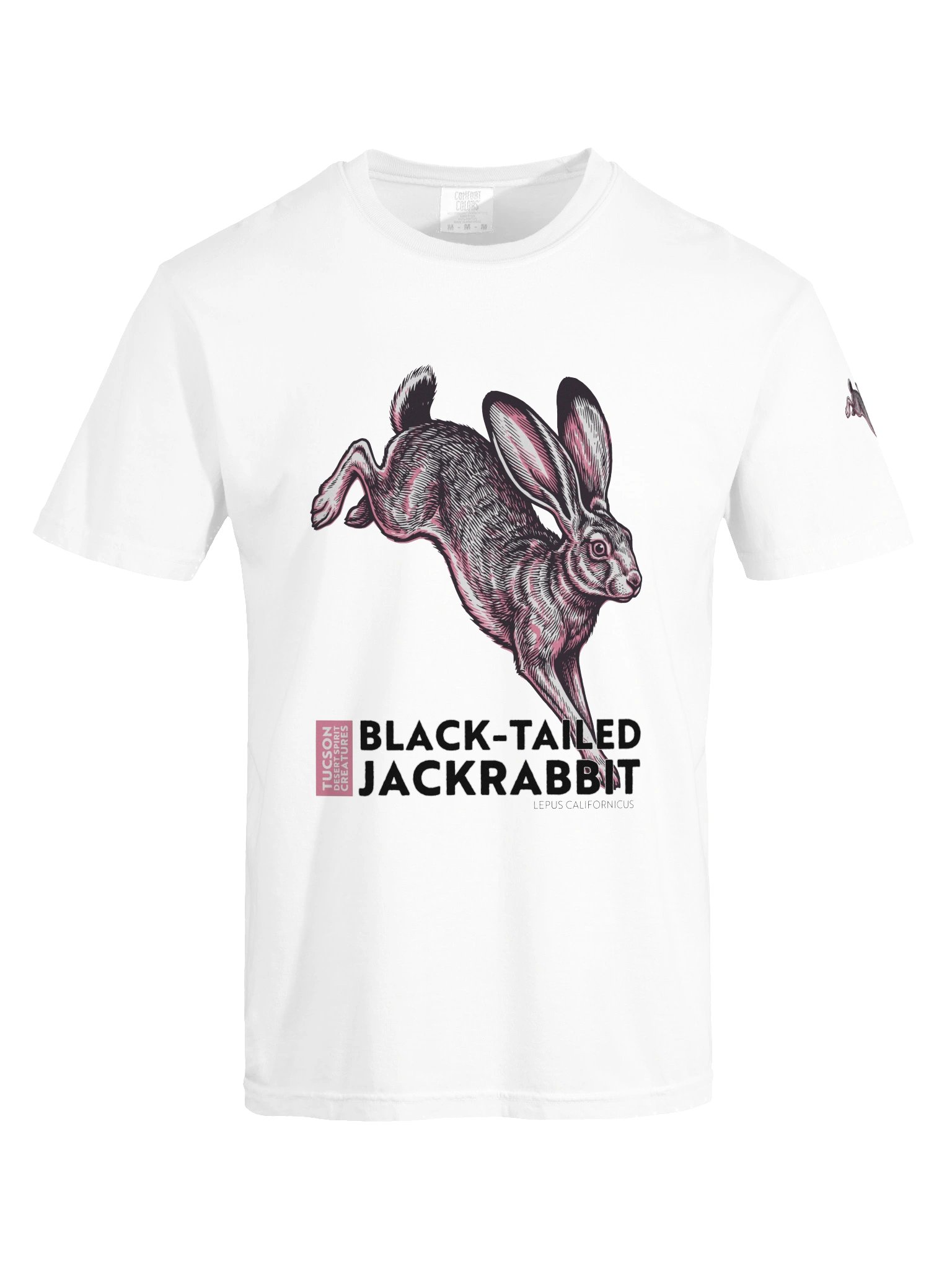 BLACK-TAILED JACKRABBIT product image (75)