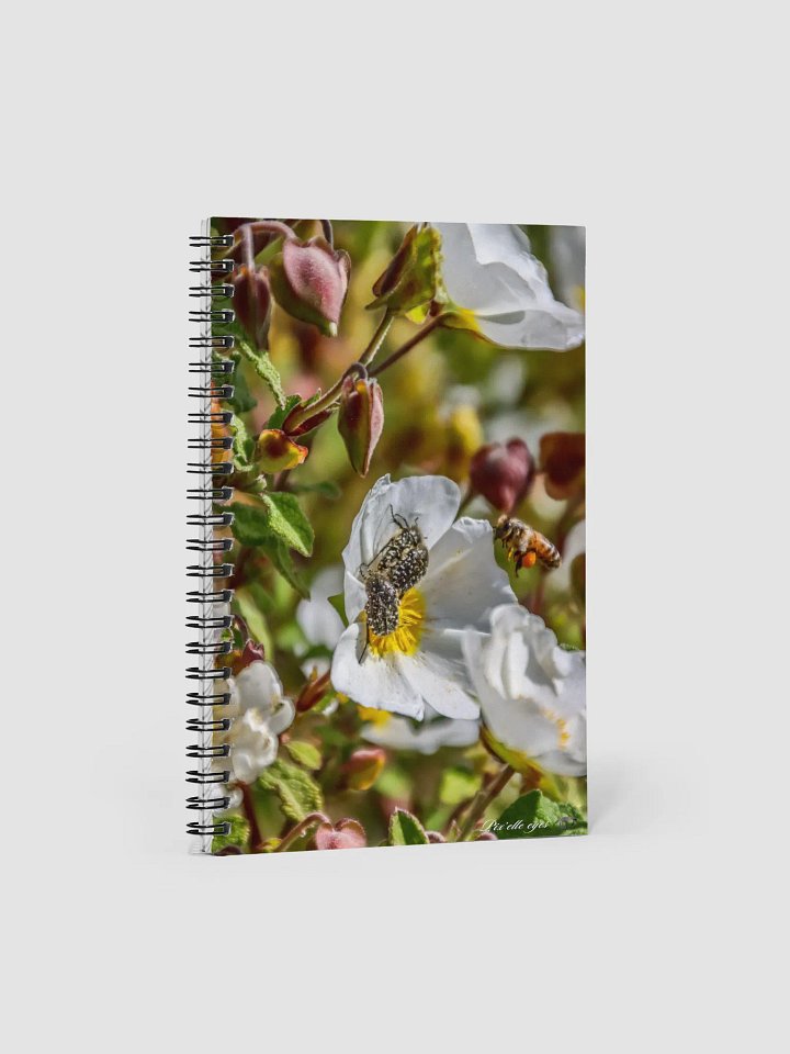 📘 Notebook Collection PURE – Jardin du Rayol – Partage de pollen product image (1)