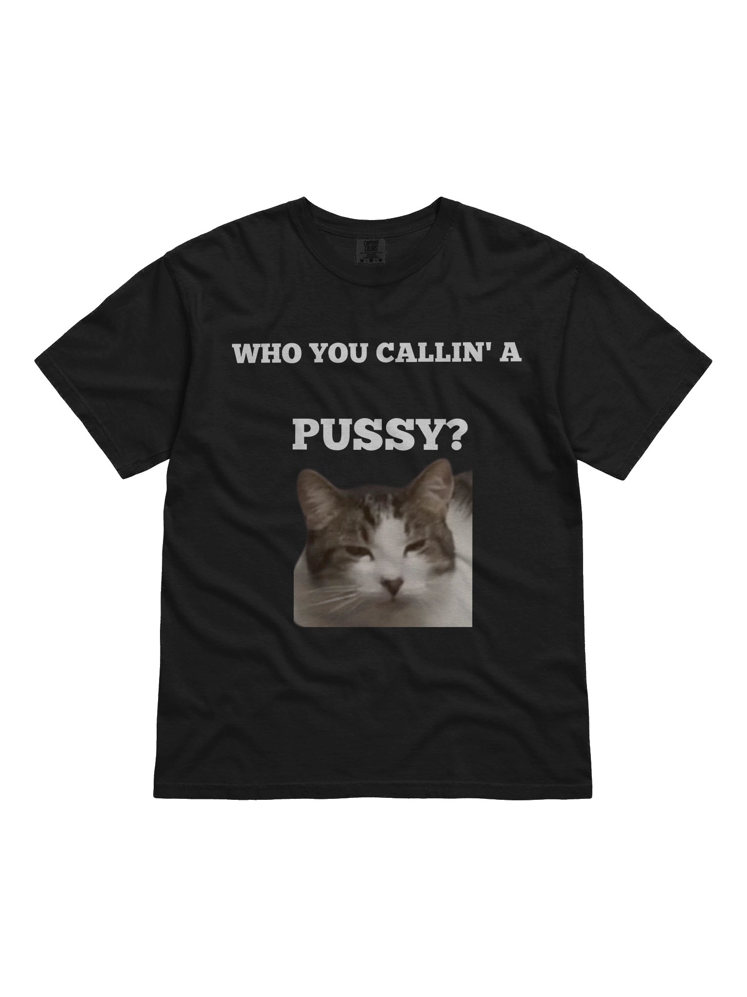 Cat product image (1)