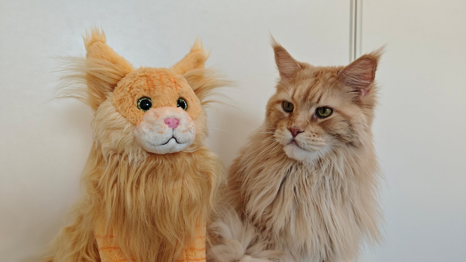 Buster Plushie product image (9)
