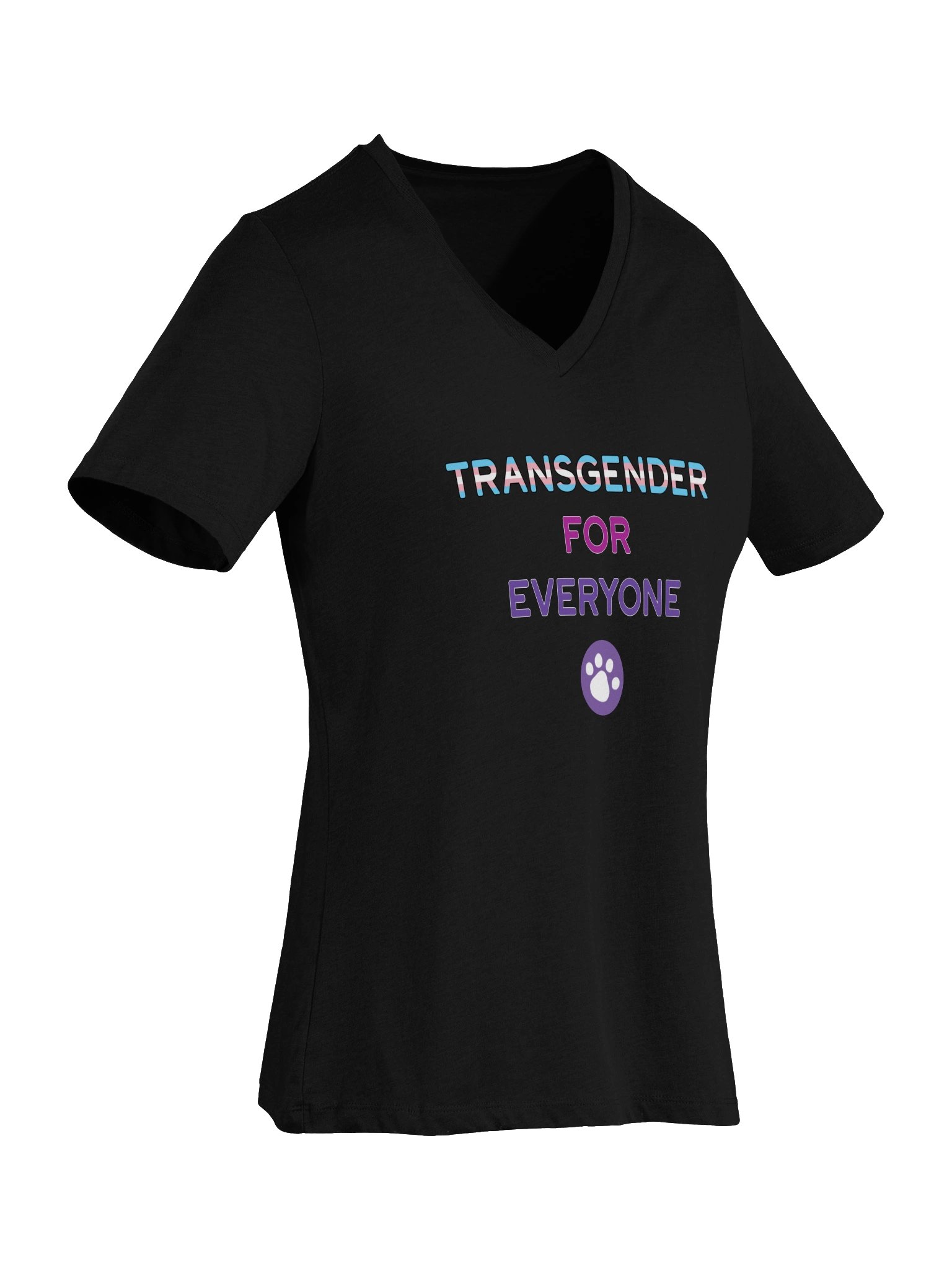 Transgender for Everyone Women's V-Neck product image (26)