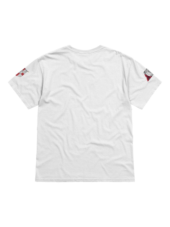 Aelthstan the dragon product image (2)