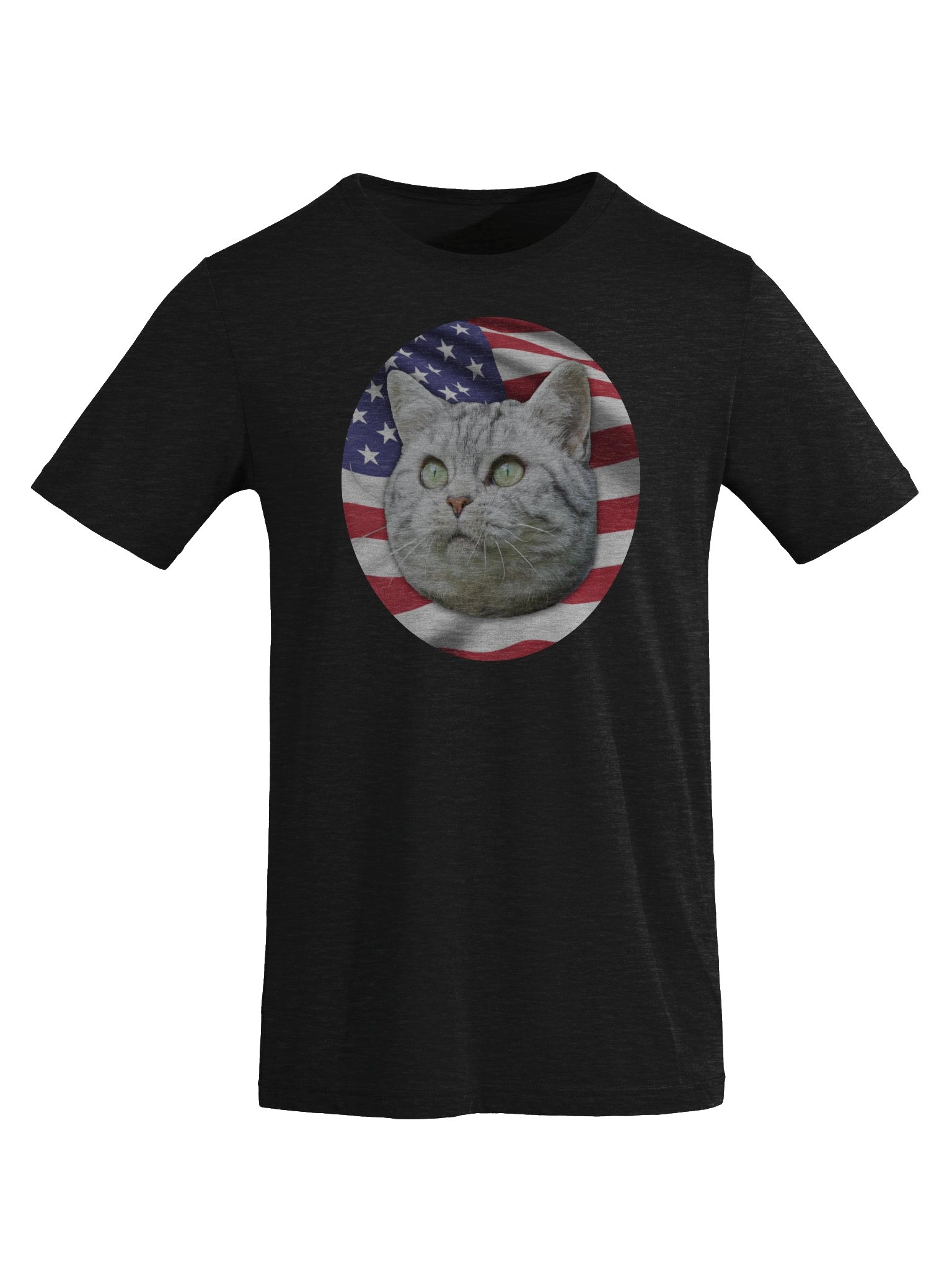 PATRIOTIC CAT LOGO (Triblend) product image (32)