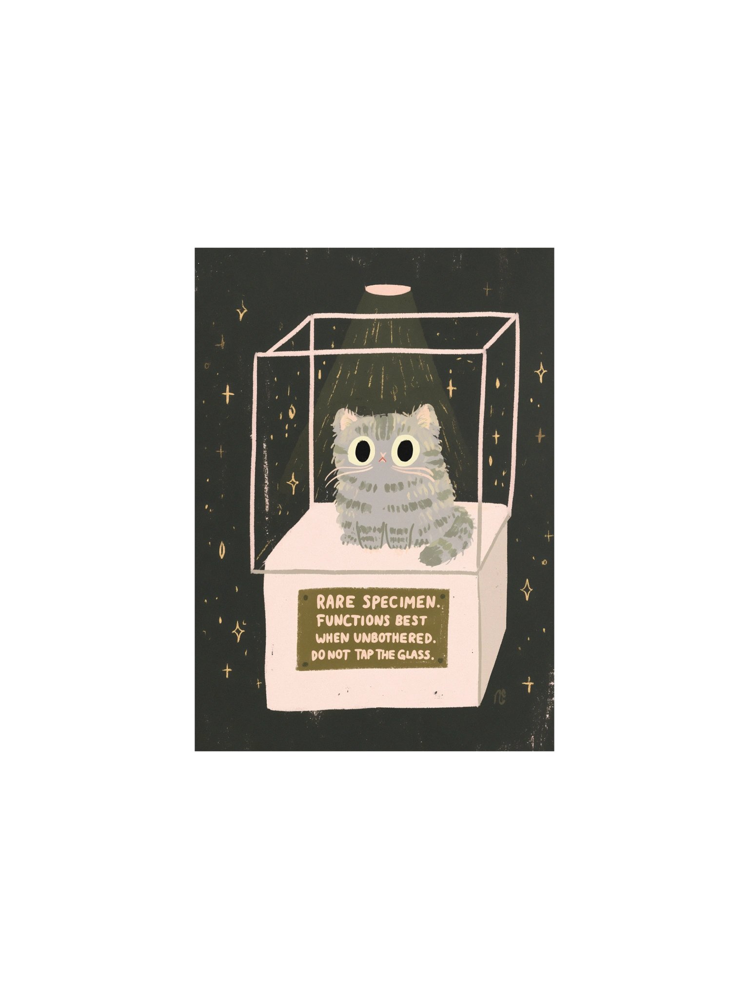 Rare Specimen Cat Poster product image (1)