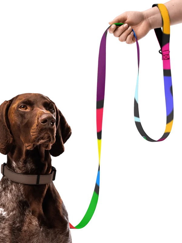 Vibrant Stripes Custom Pet Leash - Wave at Sunset product image (2)