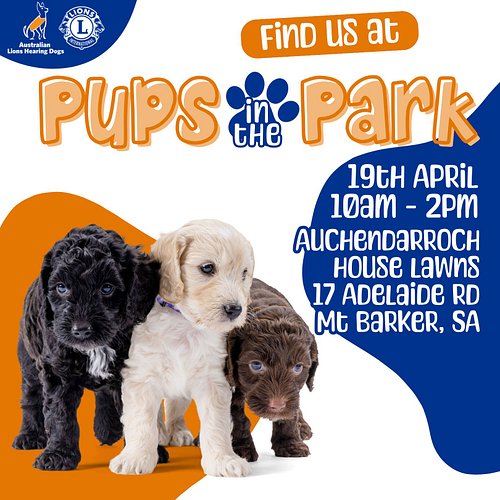 ✨ Get excited! ✨
Just under 2 weeks to go! I’ll be setting up a stall at Pups in the Park and I’d love to see you there!

🕙 W...
