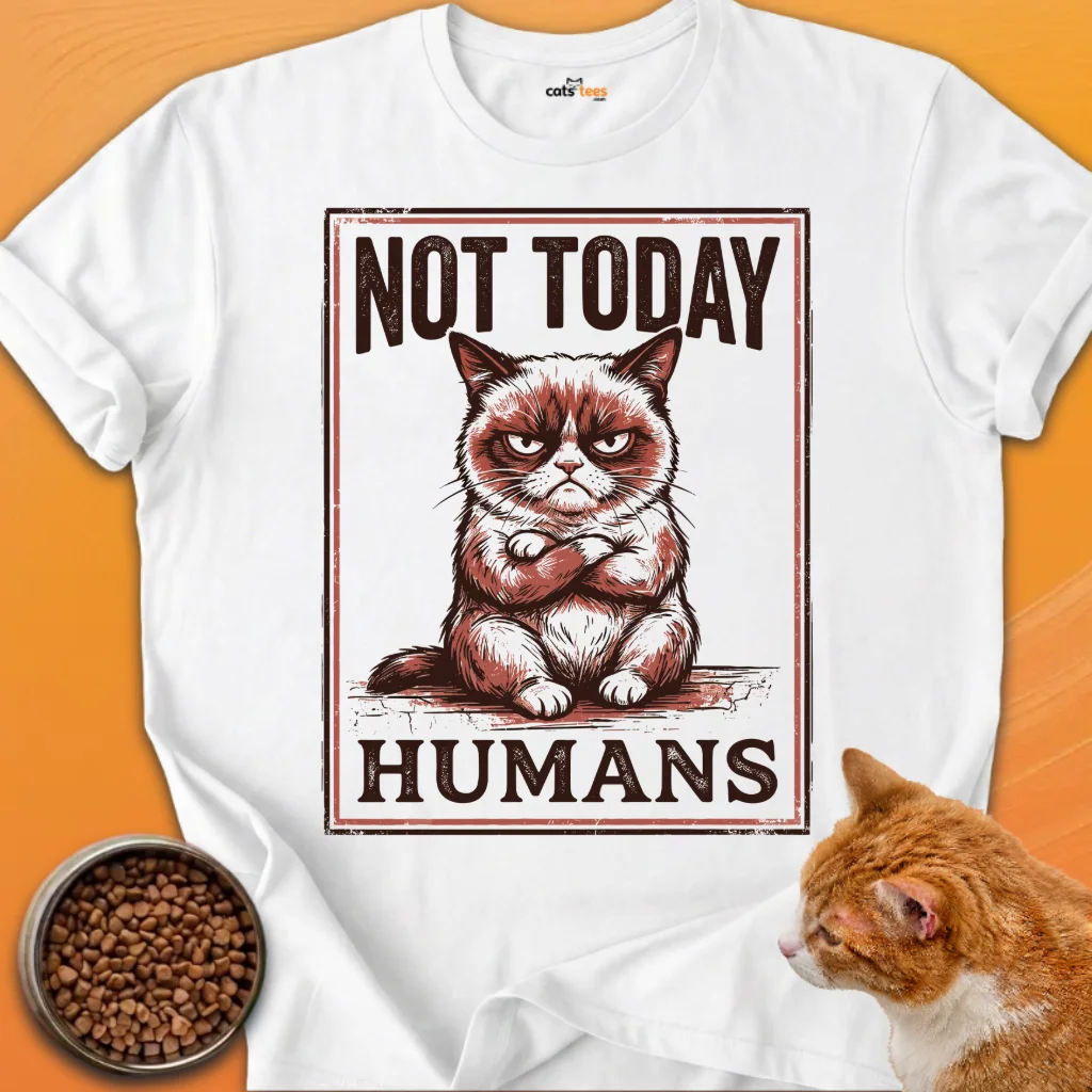 Not Today product image (16)