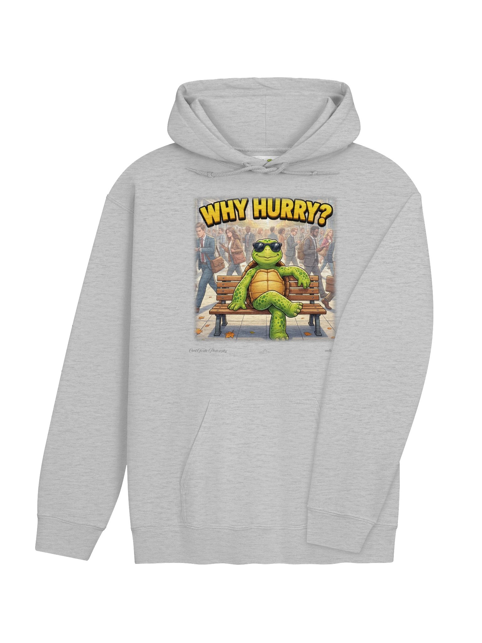 WHY HURRY? — Gildan 18500 Classic Hoodie product image (16)