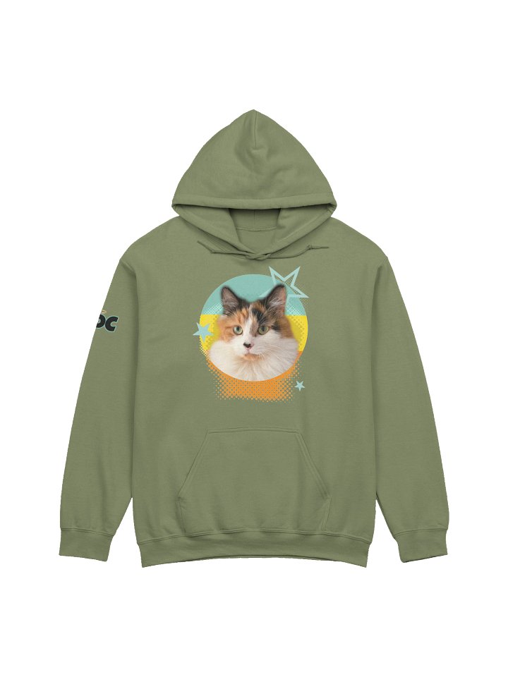 Retro Olive Hoodie | Sweat à capuche product image (1)
