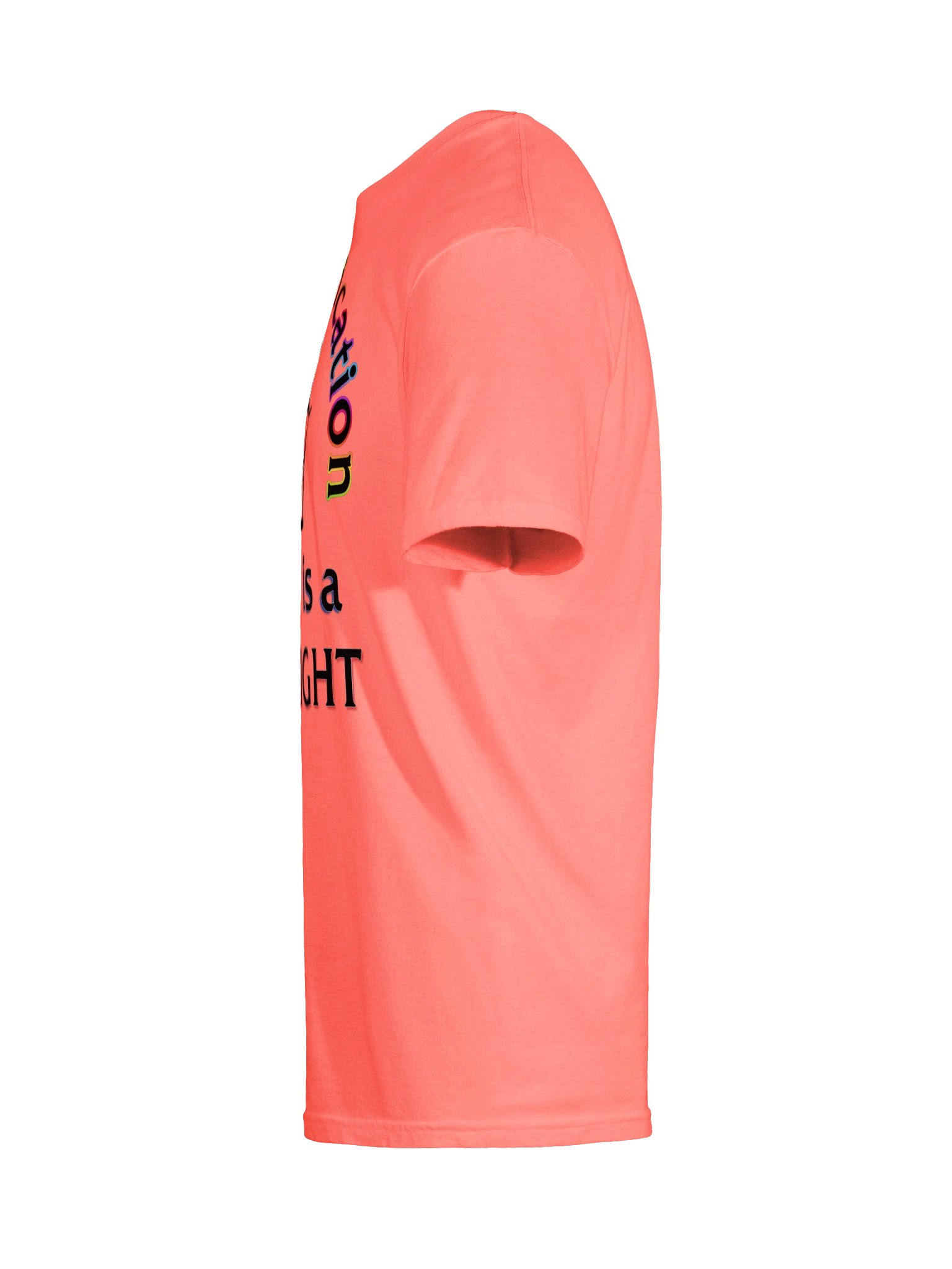 Jury Nullification shirt product image (62)