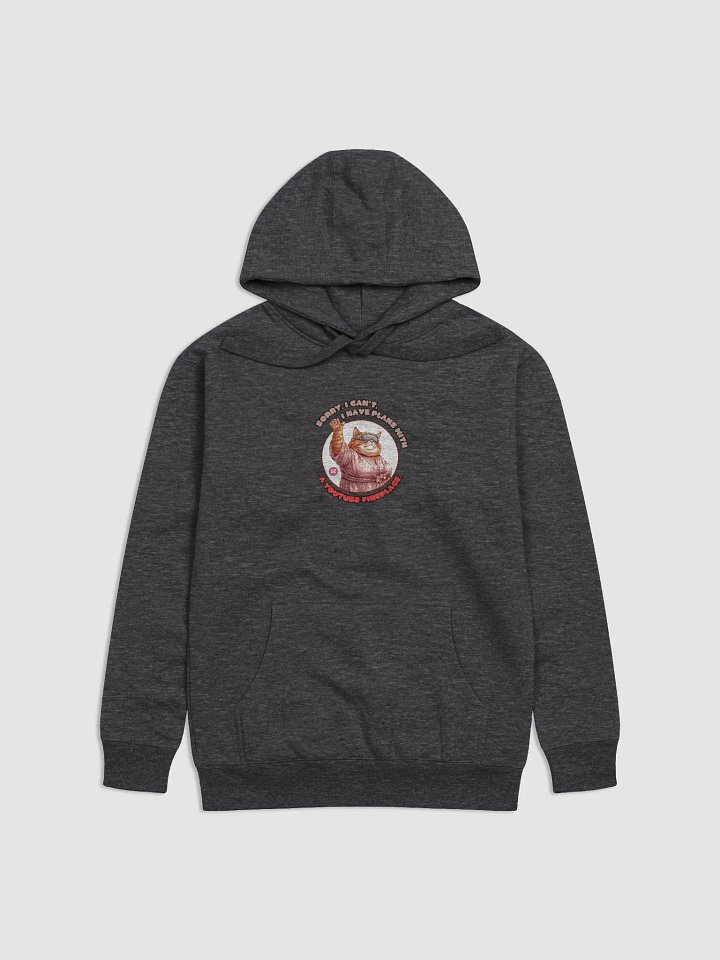 Cozy Cat - Sorry, I can't. I Have Plans With a YouTube Fireplace | Hoodie product image (1)