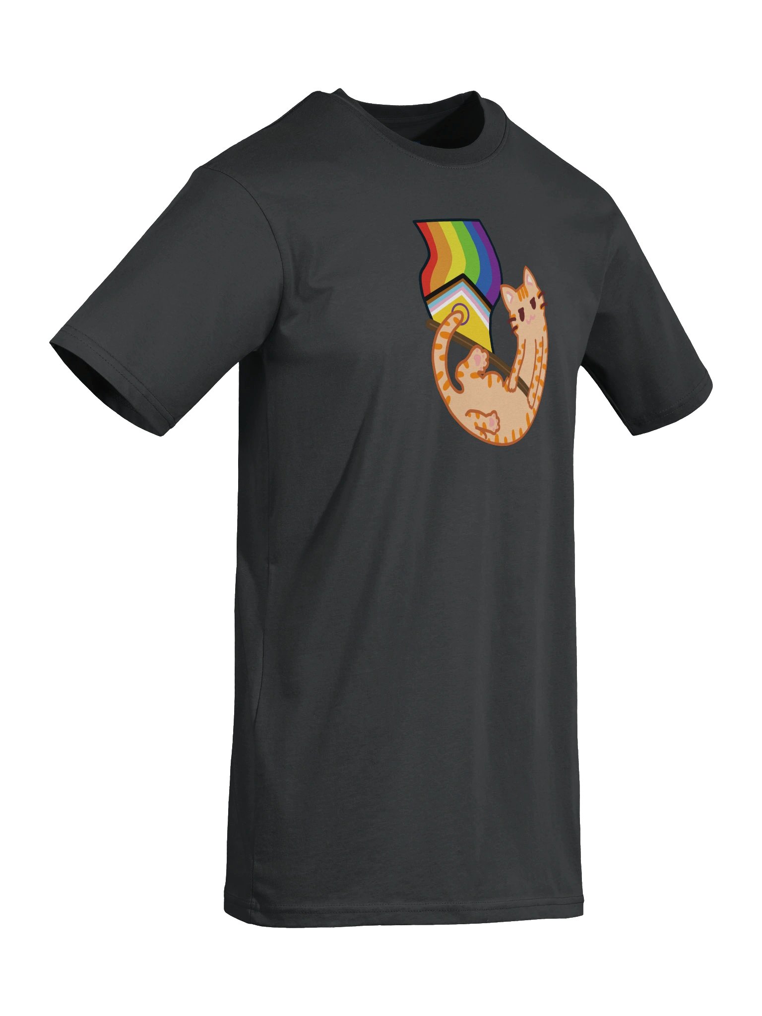 Haku Pride Tee product image (6)