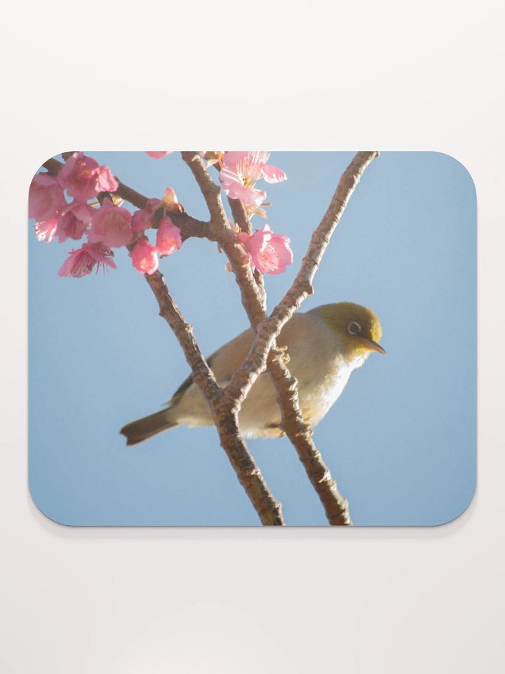Wax eyed Mouse Pad product image (2)