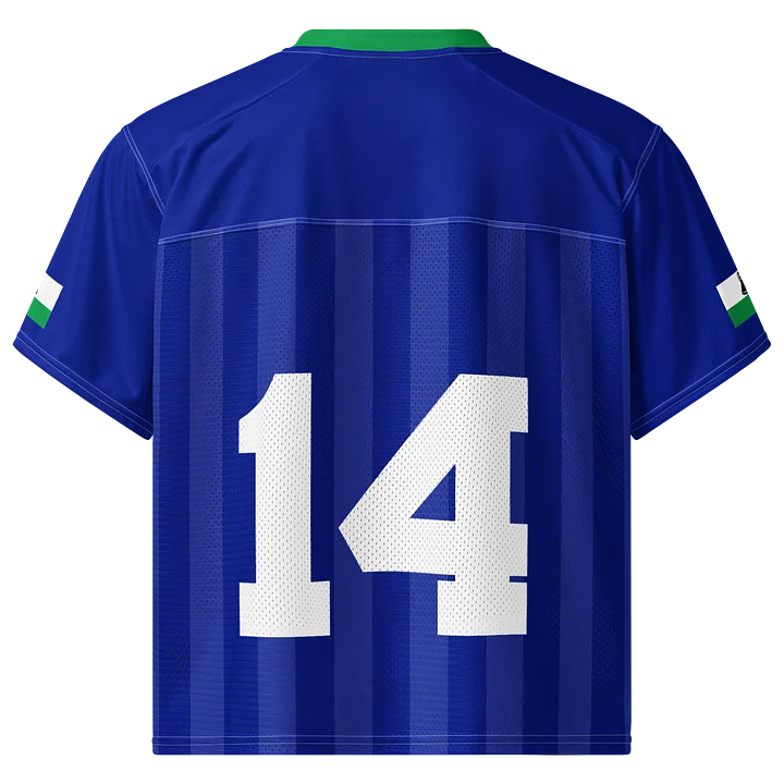Lesotho Boxy Sports Tee product image (2)