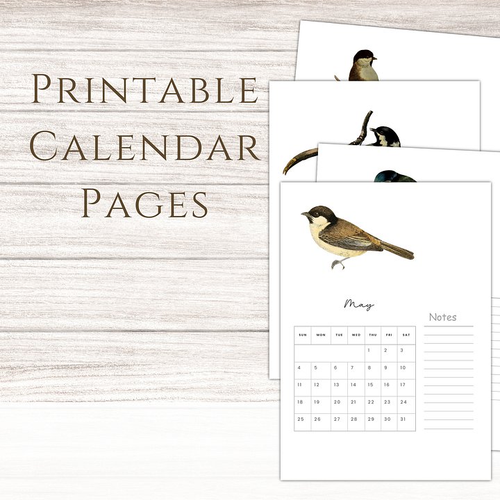 2025-2026 PDF Calendar: American Birds product image (1)