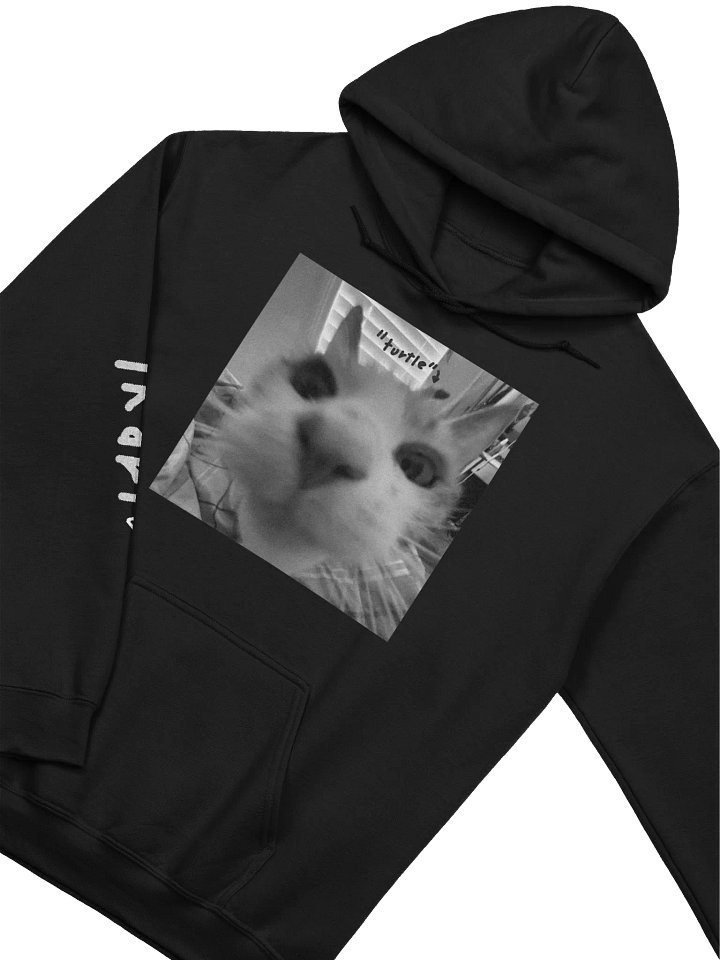 turtle — hoodie product image (2)