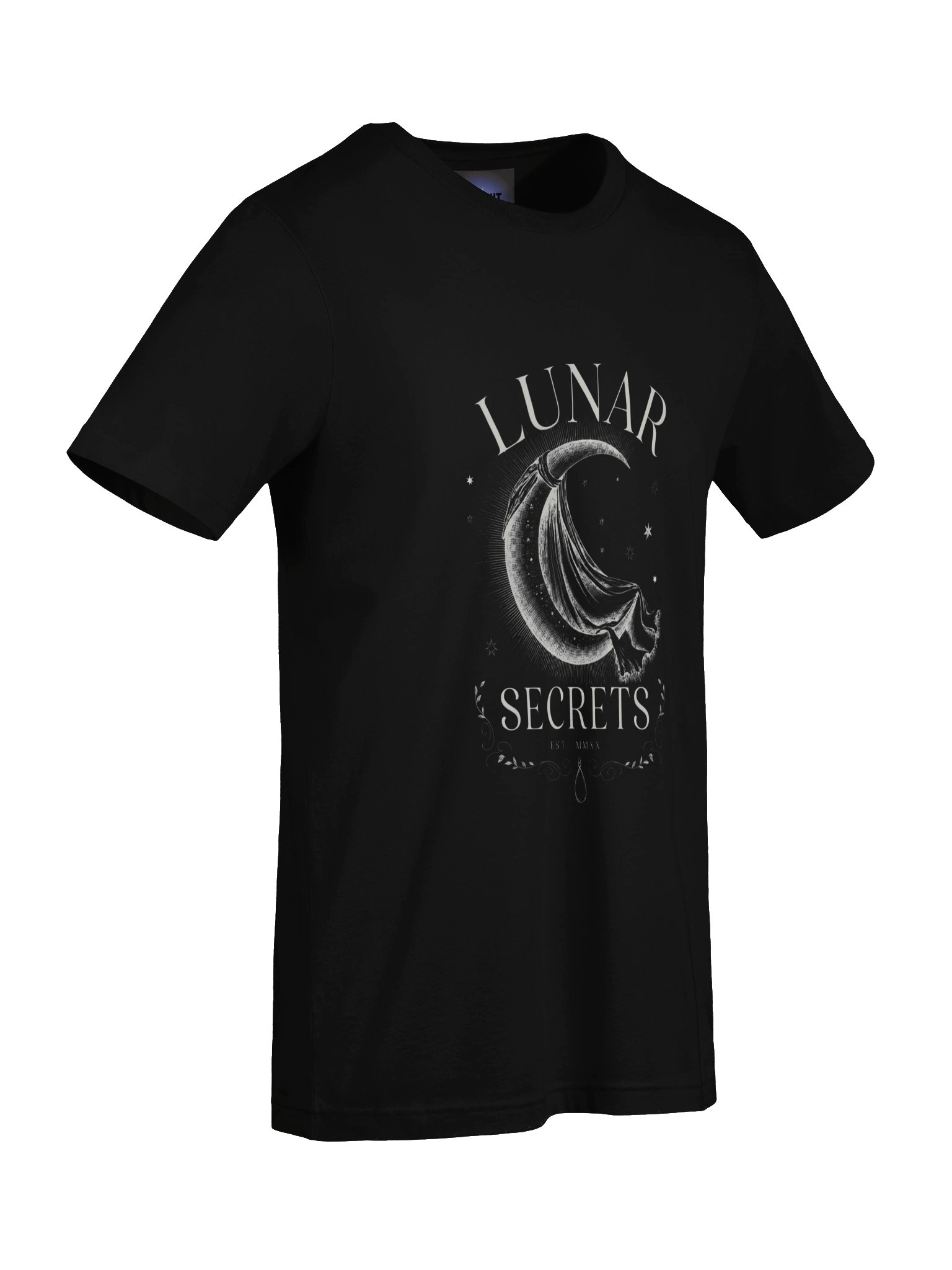 Midnight Veil Lunar Secrets T-Shirt product image (69)