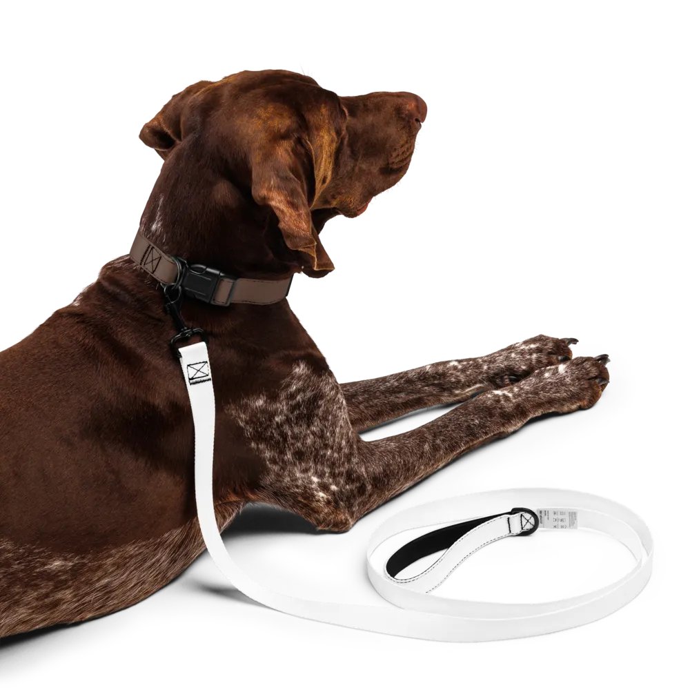 Zenith White 6ft Pet Leash - Durable Polyester with Comfortable Padded Handle product image (1)