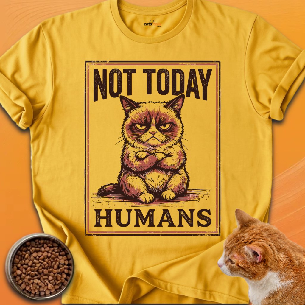 Not Today product image (12)