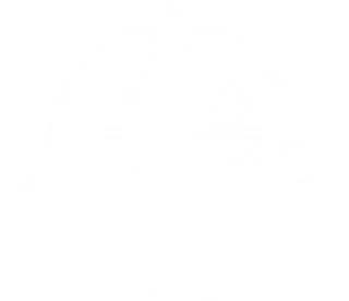 DASHGMR