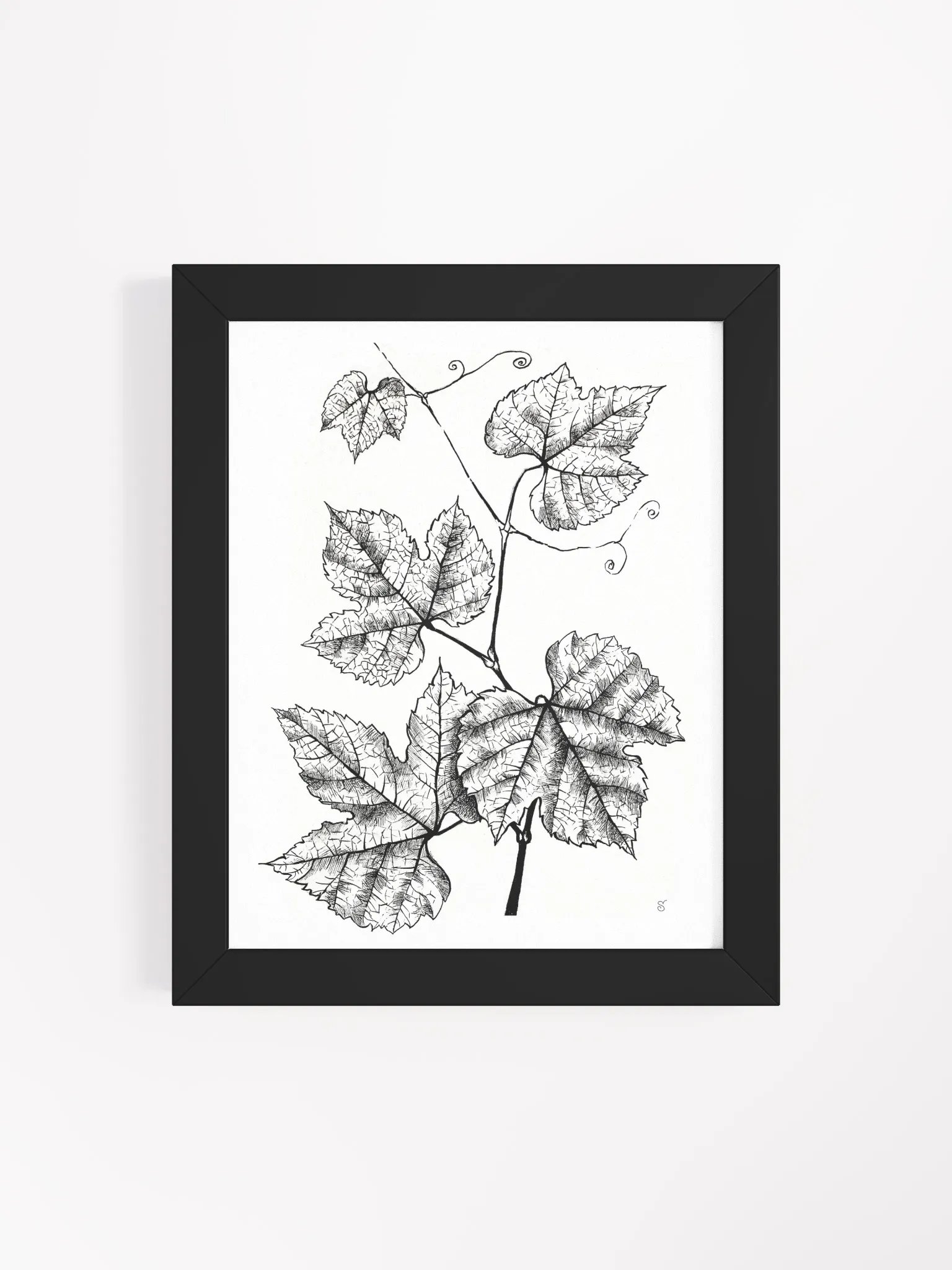 Intricate Vine Line Art Poster - Grape Leaves product image (10)