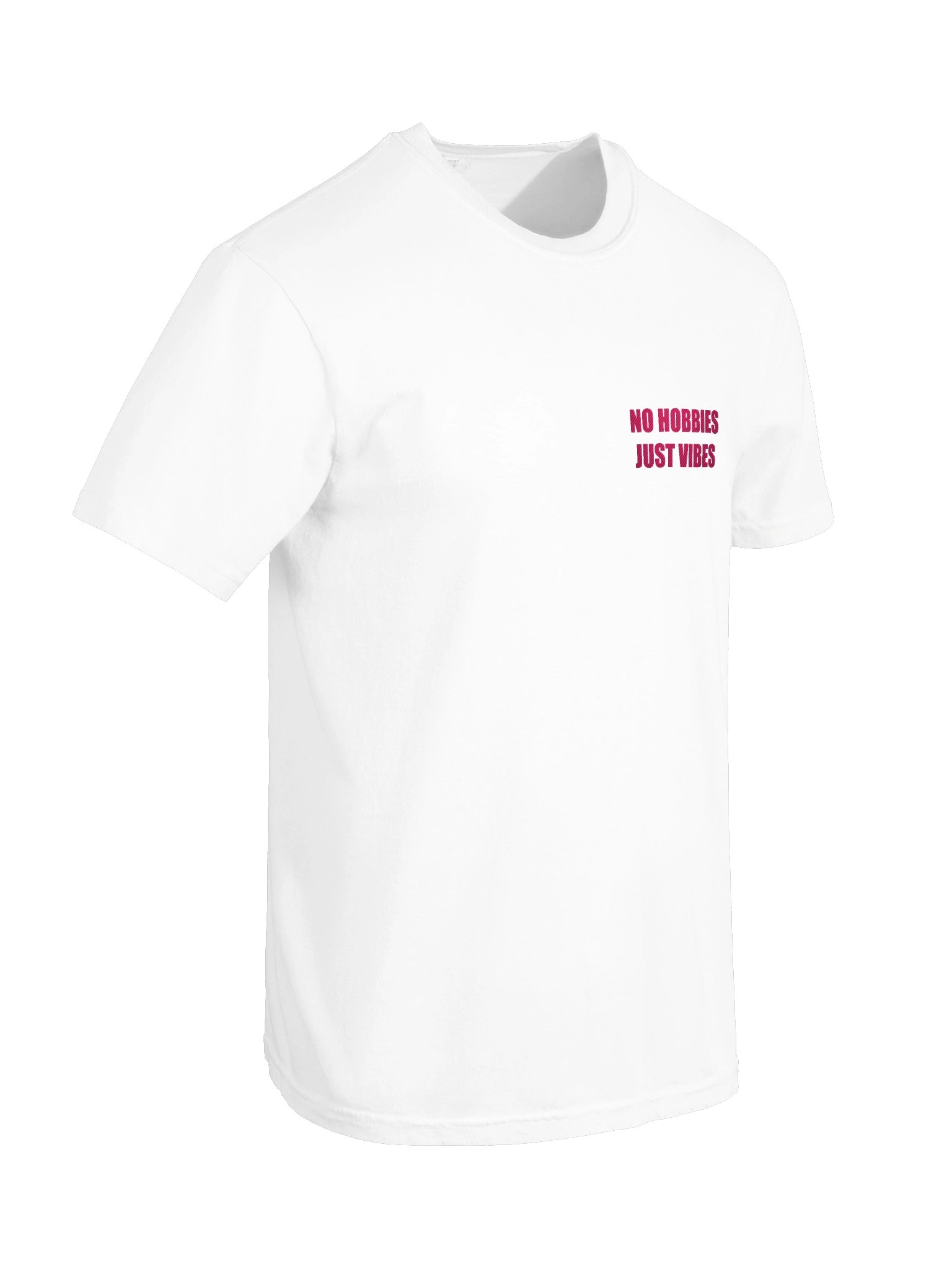 NO HOBBIES T-SHIRT - EMBROIDERED product image (6)