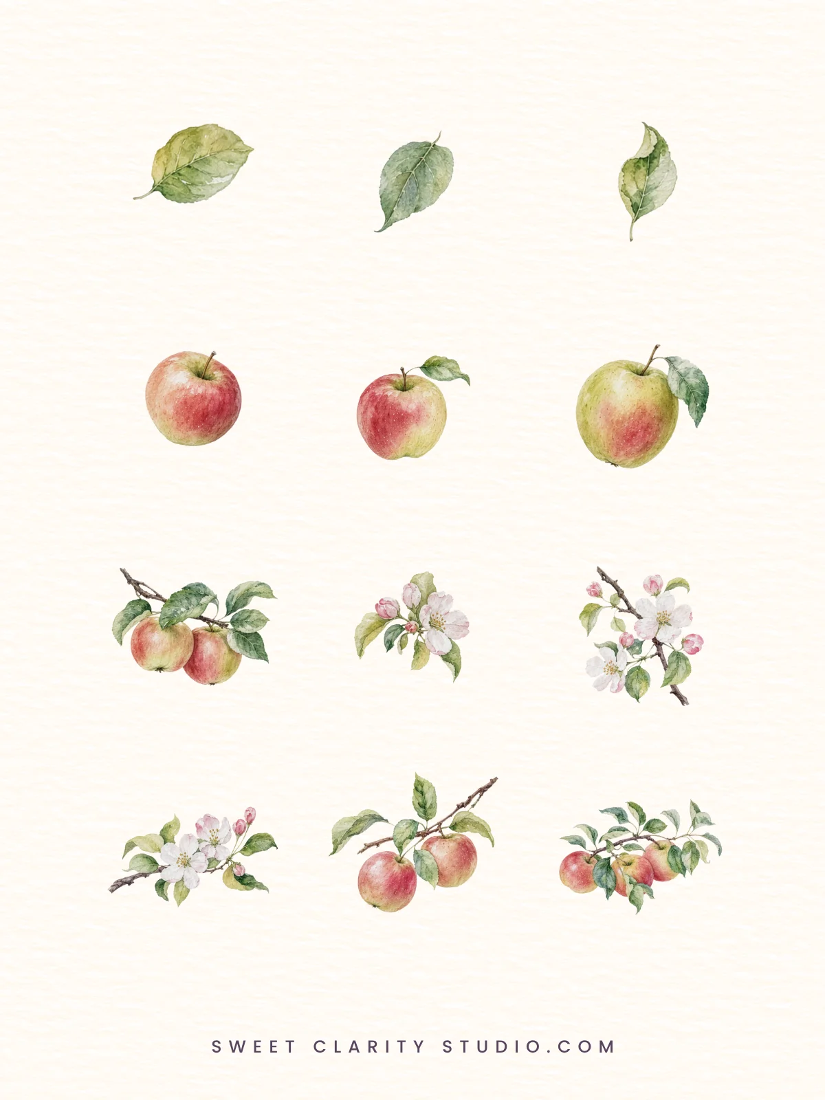 Apple Blossom Orchard Watercolor Botanical Clipart Pack product image (3)