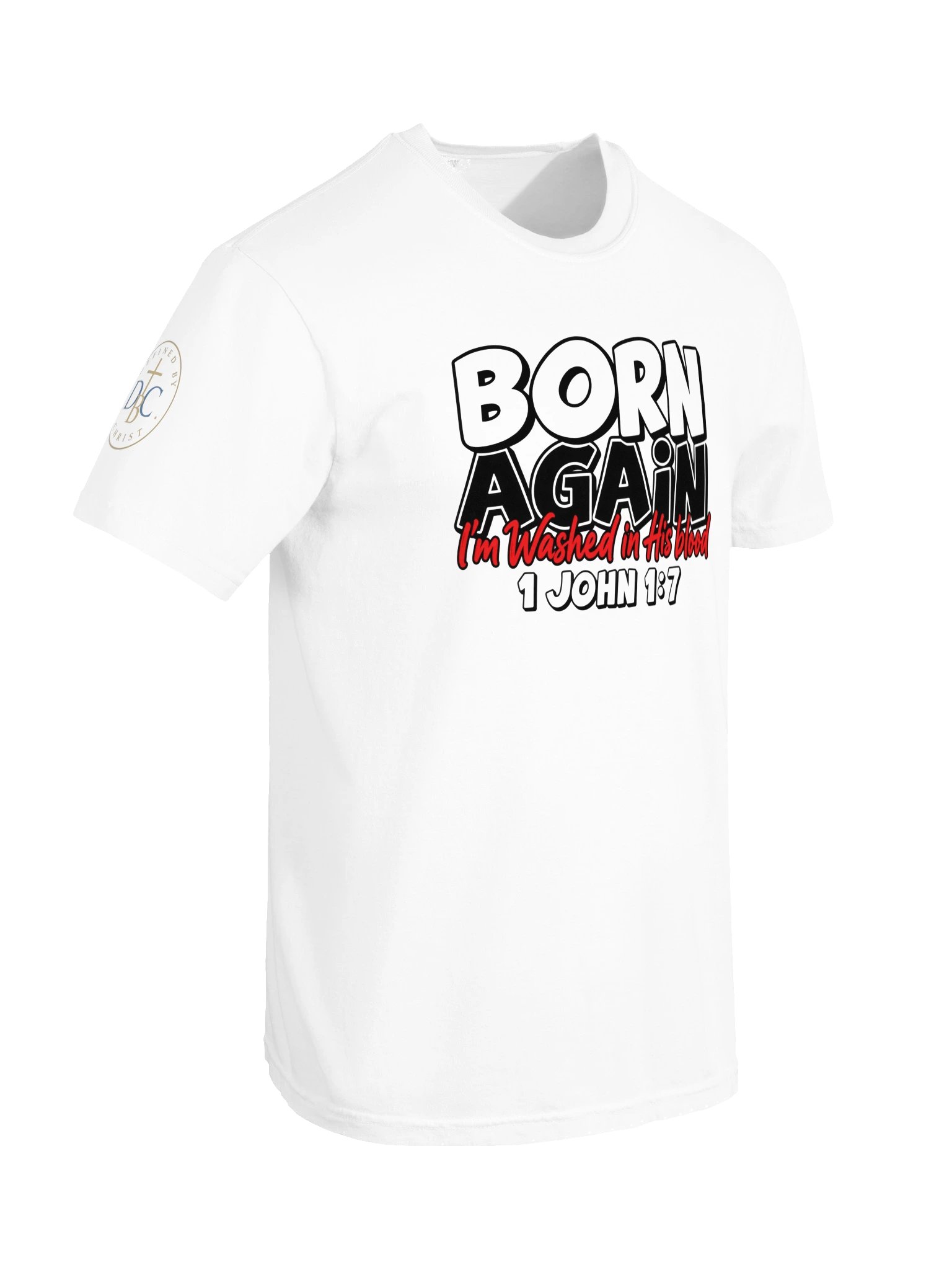 Biblical Truths: Born Again product image (7)