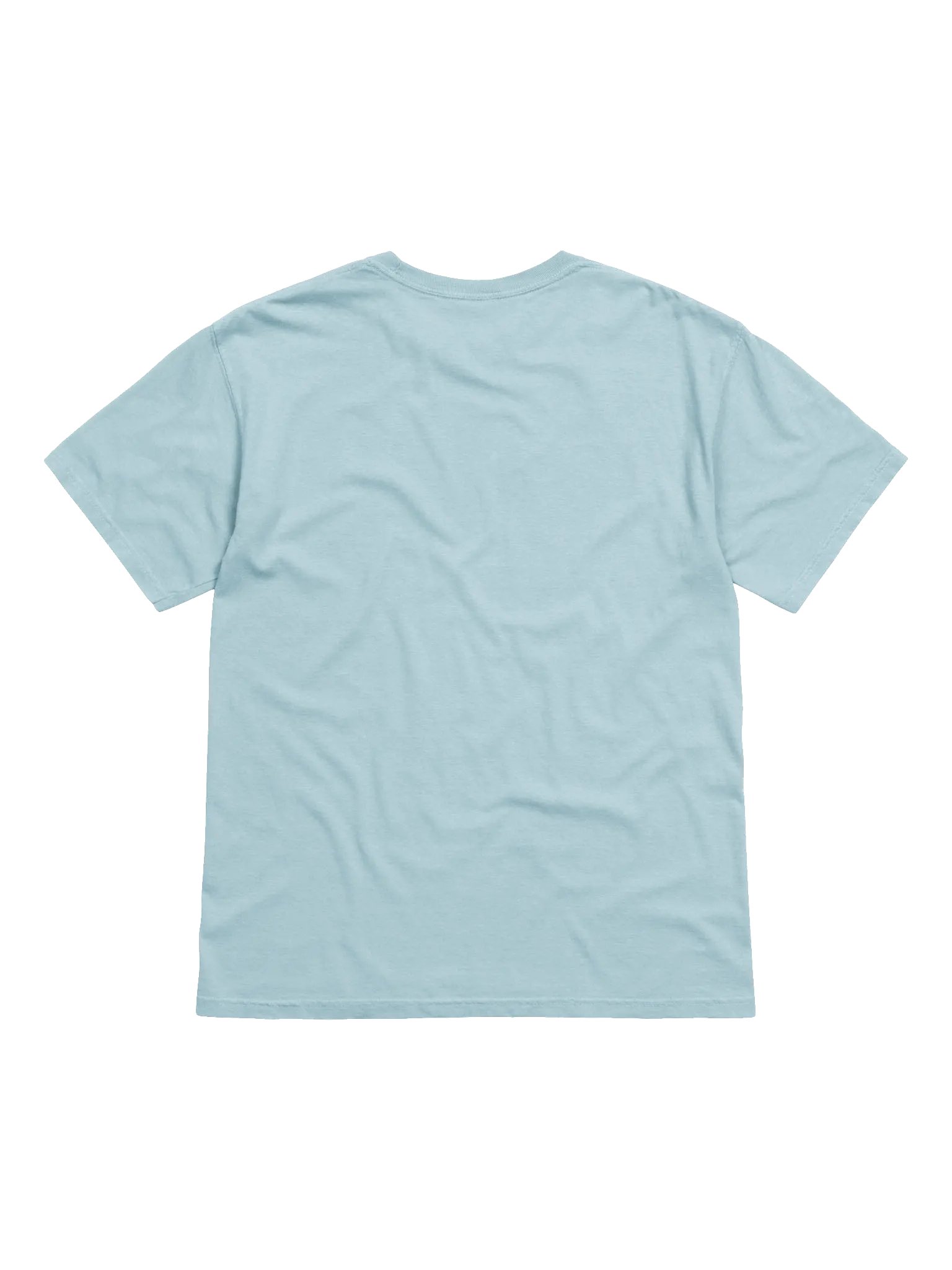 SONORA EMBROIDERED T product image (2)