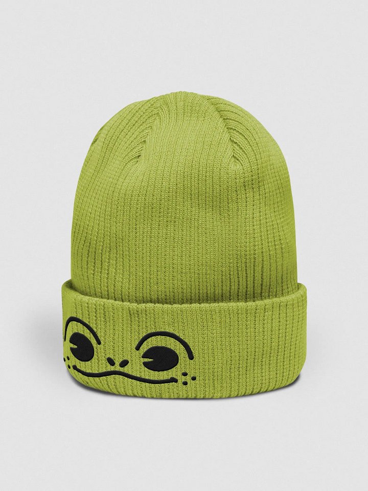 Merth Embroidered Beanie product image (2)