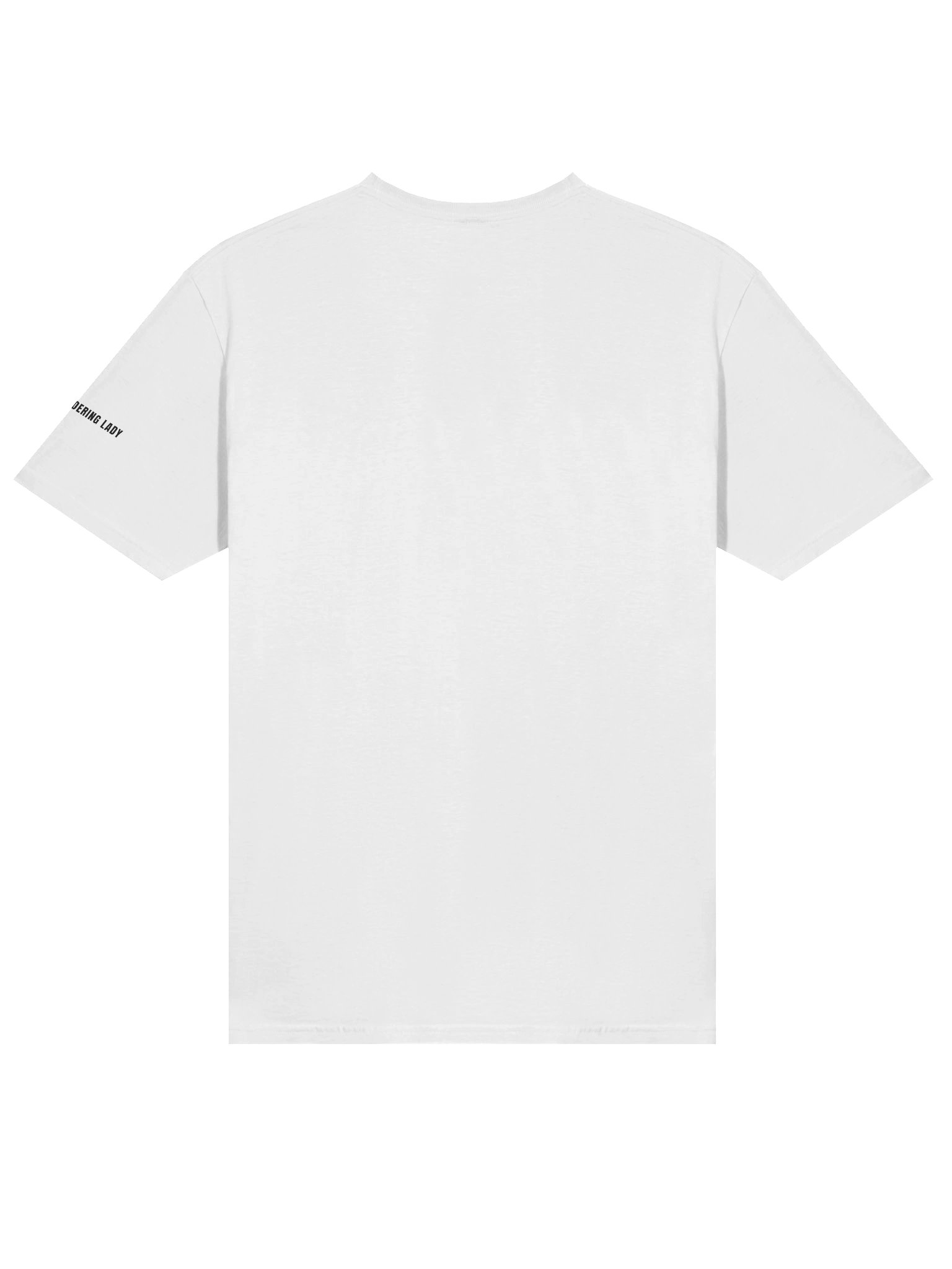 Silver Hair, Don’t Care Rig Tour Women's Comfort Tee product image (26)
