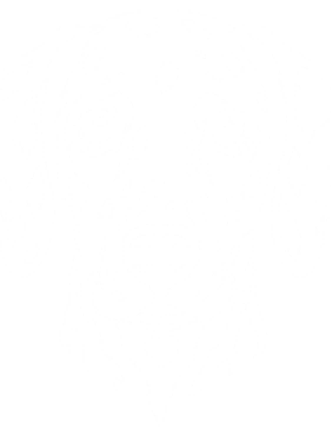 Pacchetto Qualità & Risparmio DALMATA product image (1)