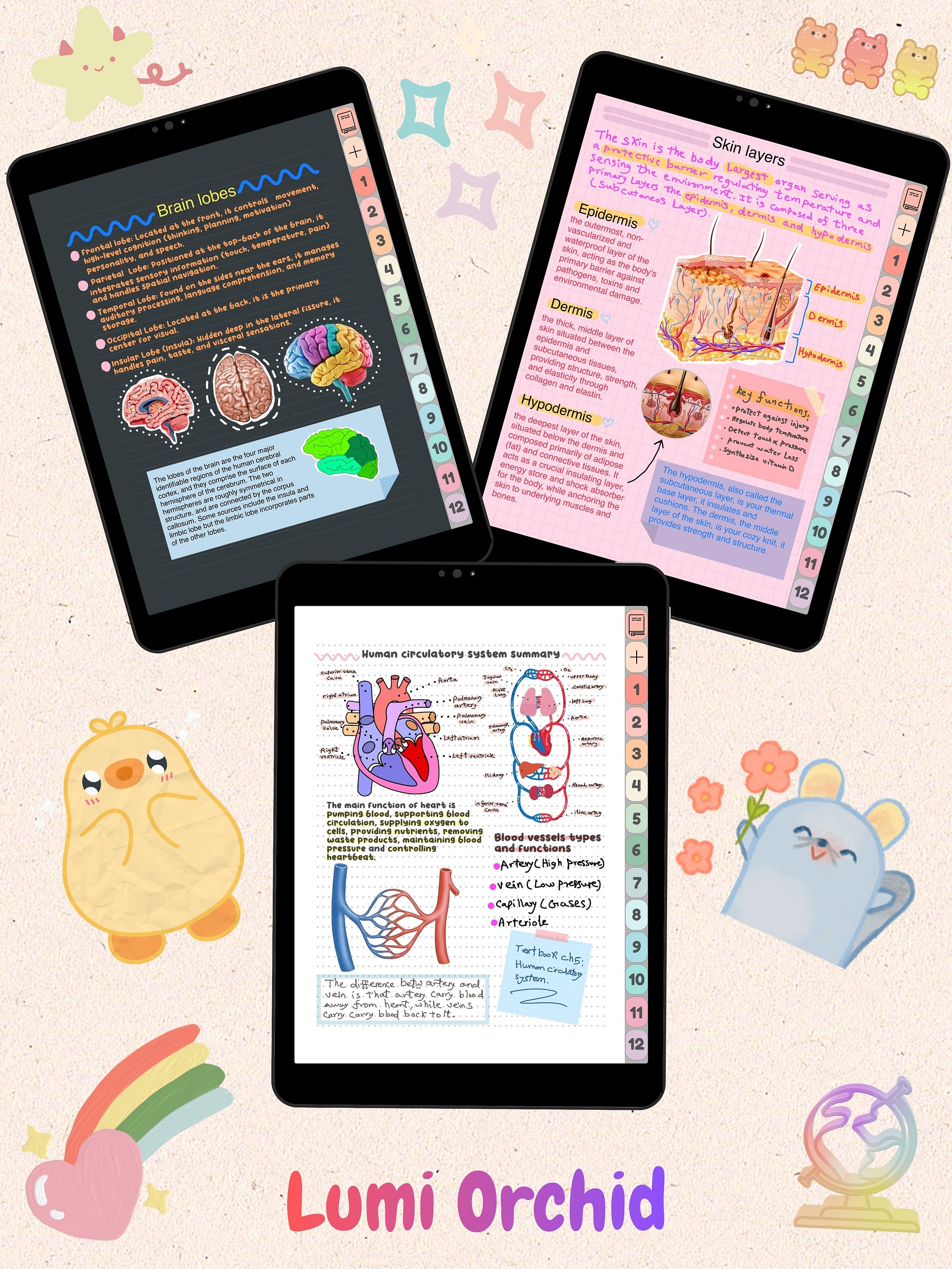 Digital Notebooks Bundle product image (2)