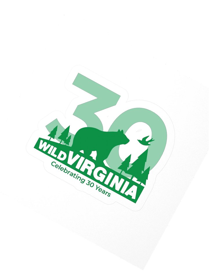 30th Sticker product image (4)