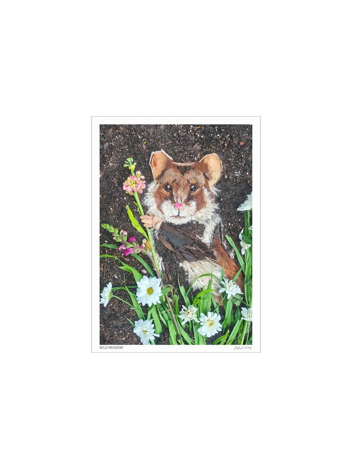 WILD MEADOW | Fine Art Print product image (2)
