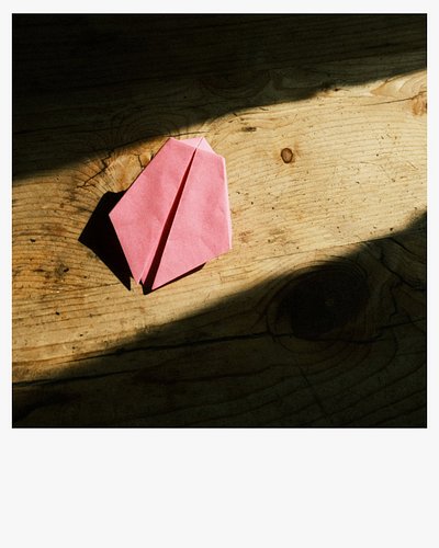 Pink paper cicada for a future of resurrection.