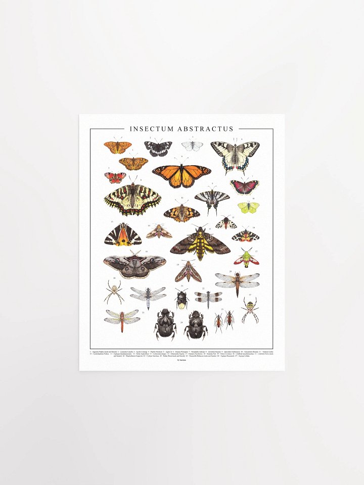 Insectum Abstractus, Whole • Print product image (1)