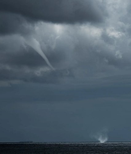 Impossible de la photographier de loin. Je prends donc le risque de me rapprocher un peu et de prendre de la hauteur pour l’a...