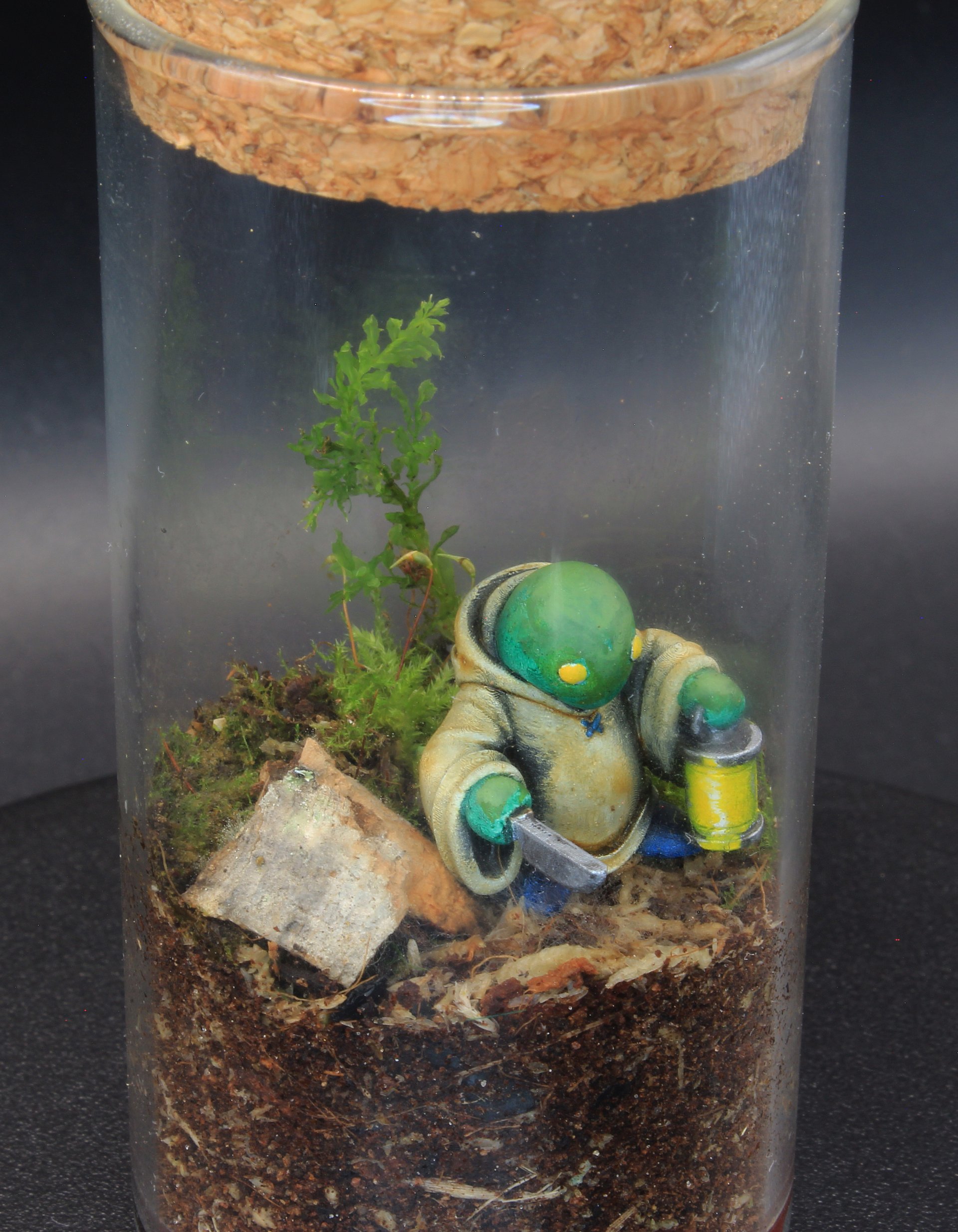 Miniscapes - Fantasy - Tomasberry product image (1)