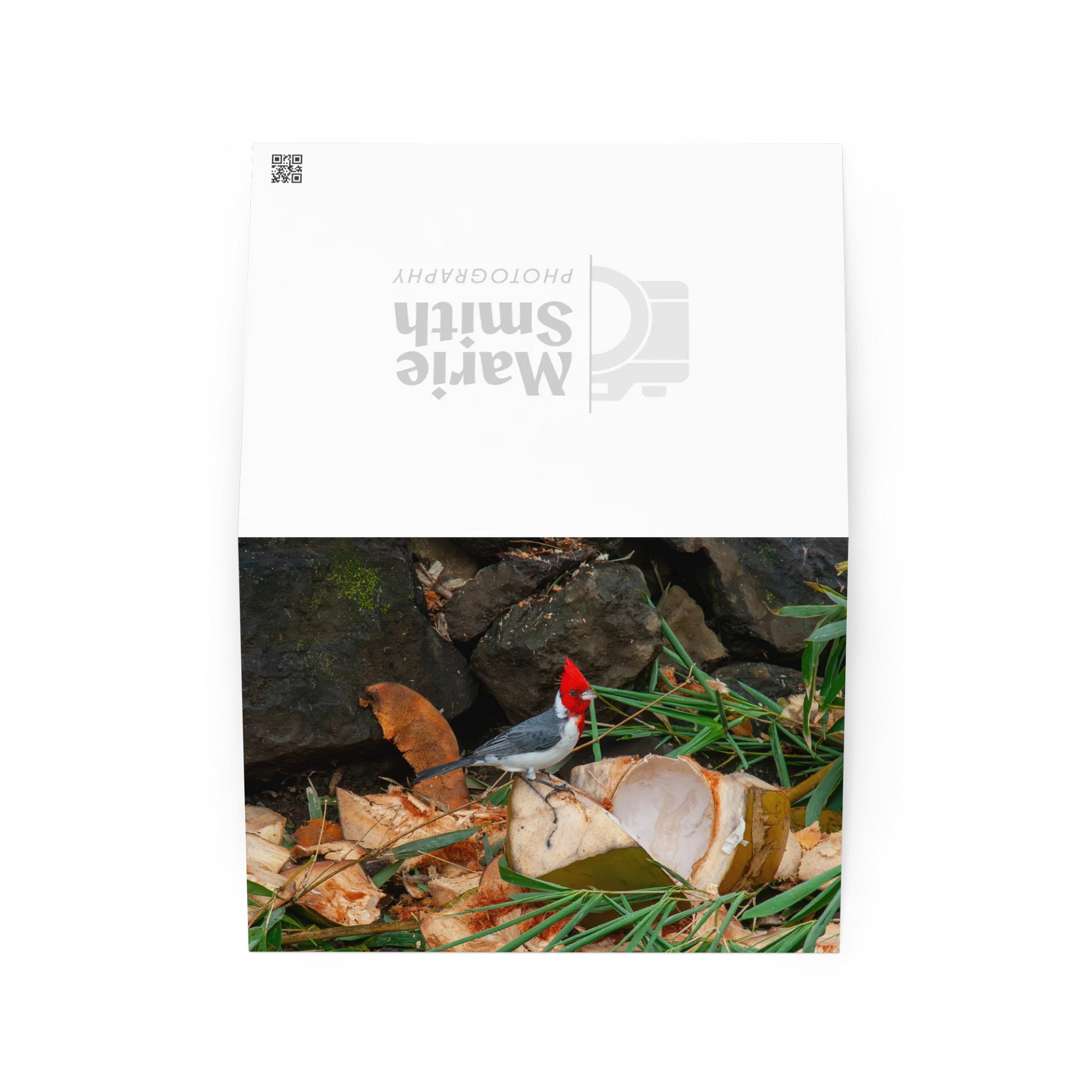 Tropical Bird Greeting Card product image (2)