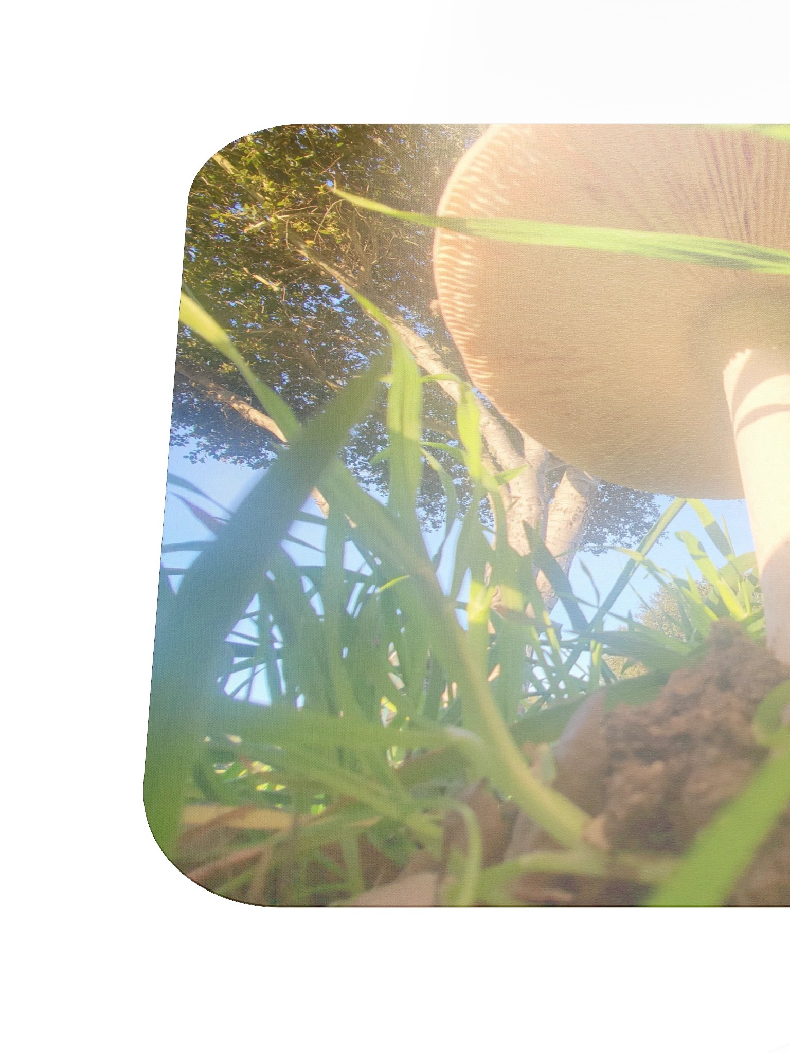 Sunlit Mushroom Mouse Pad product image (6)